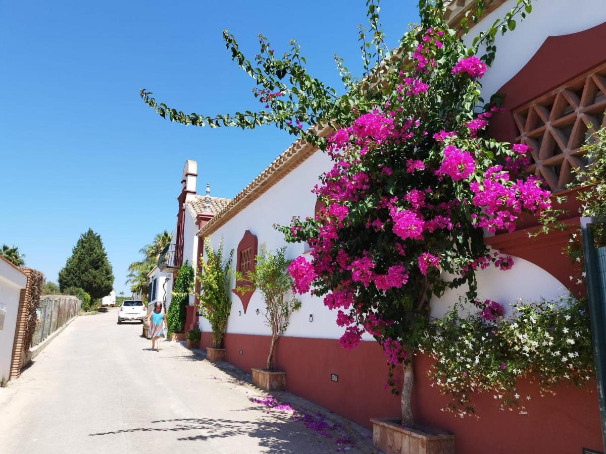El Altabacar - - Playa Fuengirola