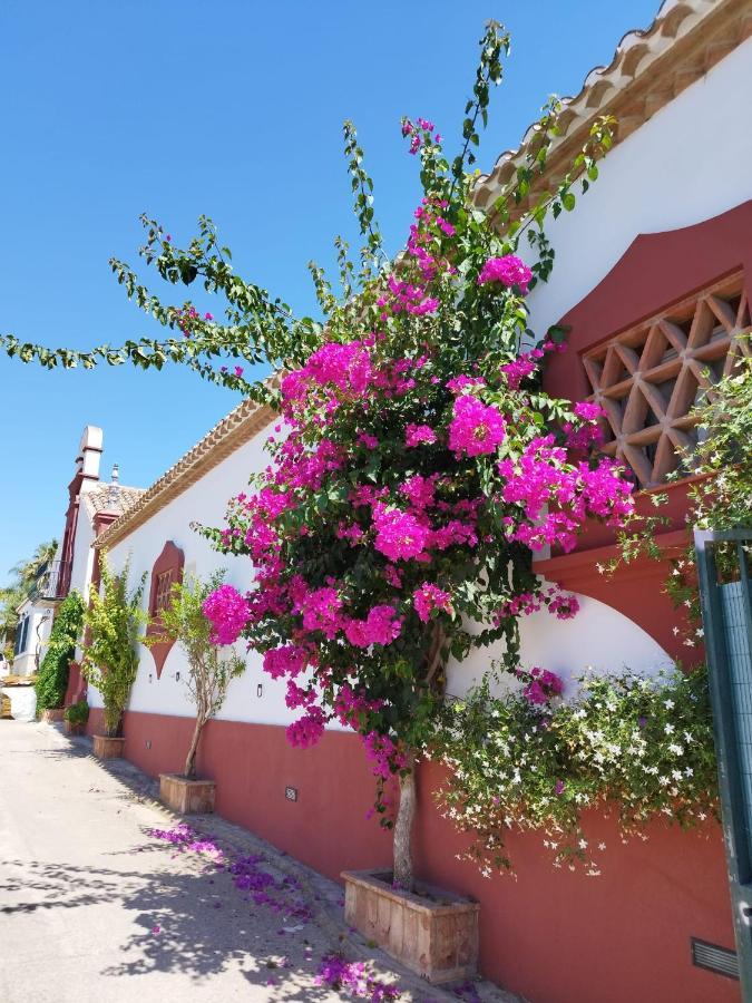 Hébergement de vacances El Altabacar - - Playa Fuengirola